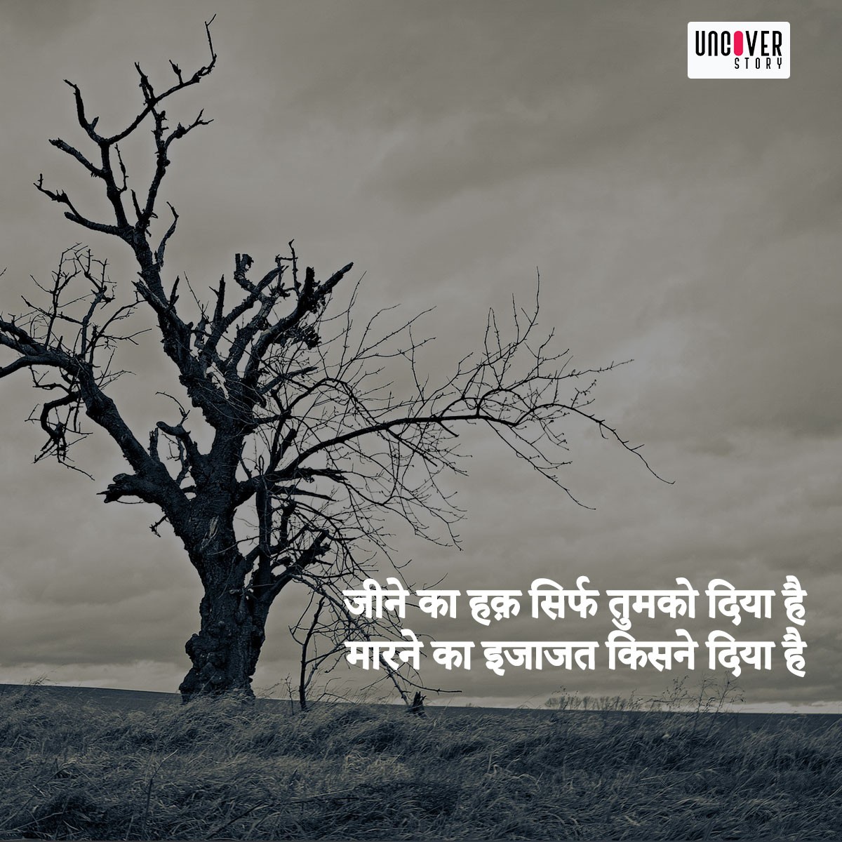 world environment day 2020 essay in hindi